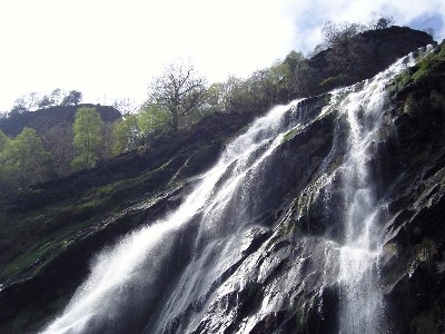 Dublin: Assarnacally Waterfall